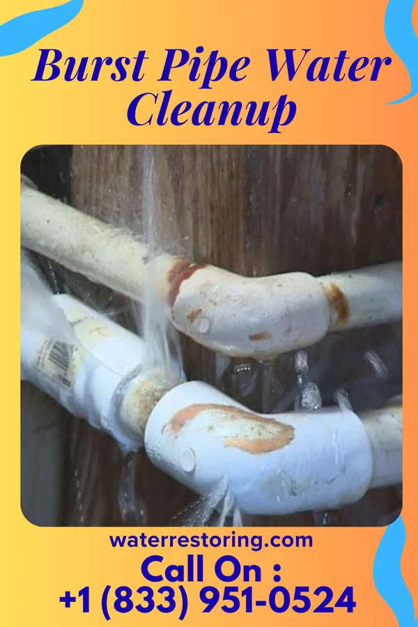 Burst Pipe Water Cleanup in Newburyport, MA