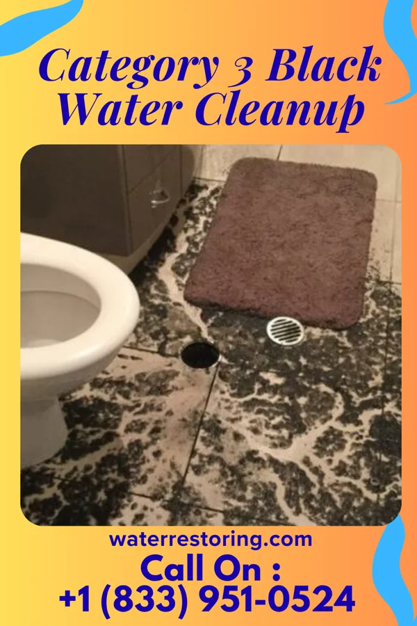 Category 3 Black Water Cleanup in Newburyport, MA