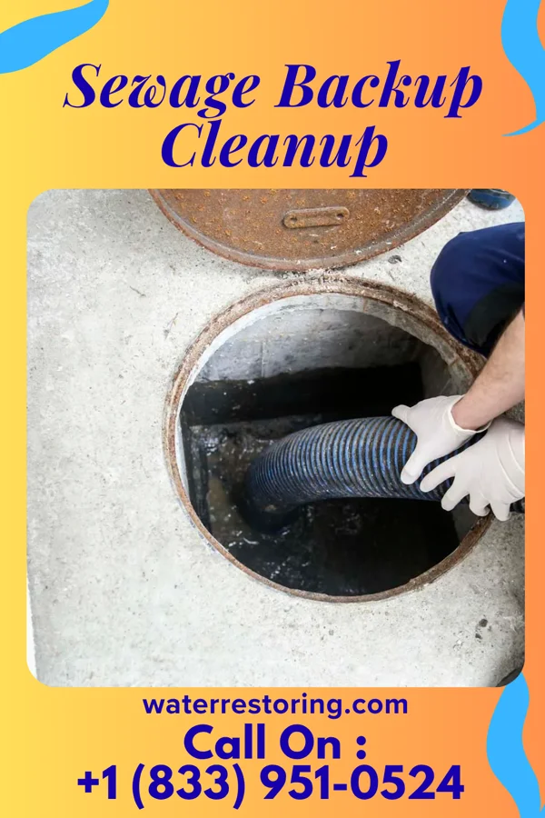 Sewage Backup Cleanup in Newburyport, MA