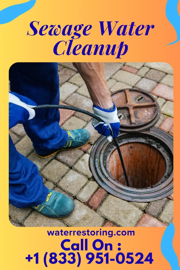 Sewage Water Cleanup in Newburyport, MA
