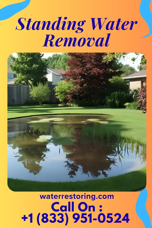 Standing Water Removal in Newburyport, MA